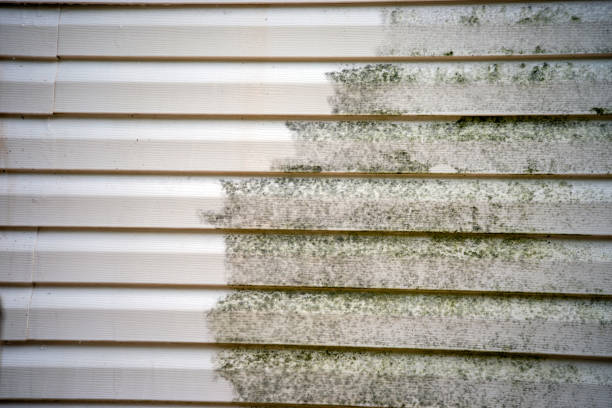 Best Basement Cleanout  in Bridgeview, IL