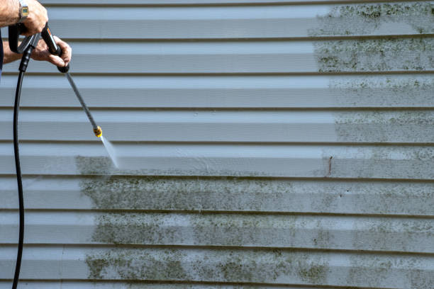 Trusted Bridgeview, IL Junk Removal Experts