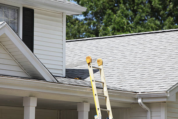 Best Shed Removal  in Bridgeview, IL
